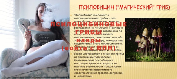 МДПВ Покров