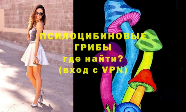 ALPHA PVP Алзамай