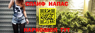 дживик Кунгур