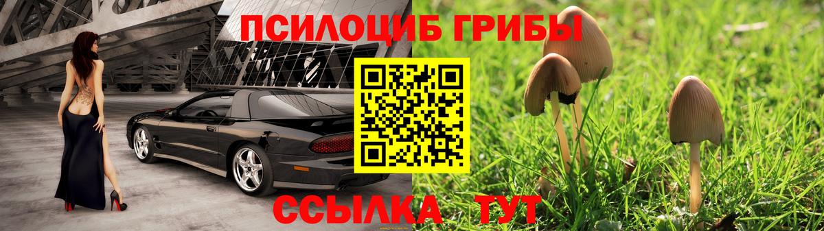 Псилоцибиновые грибы Cubensis  Вход с VPN  Дивногорск  Галлюциногенные грибы Magic Shrooms 